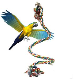 Pet Parrot Chew Cuerda Budgie Bell Bird Perch Coil Columpio Cockatiel Cage Toys